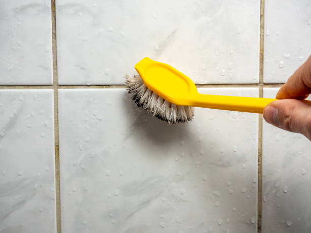 Best Best Mold Removal Companies  in Jonestown, TX