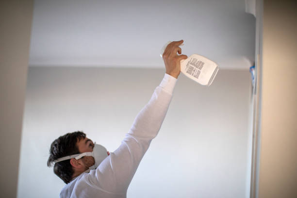 Best Affordable Mold Removal  in Jonestown, TX