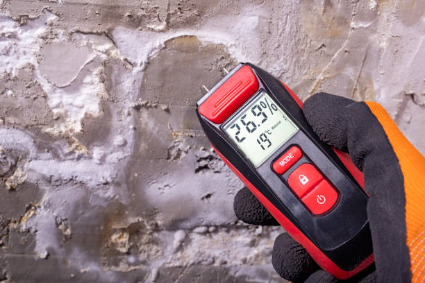 Best Home Mold Removal  in Jonestown, TX