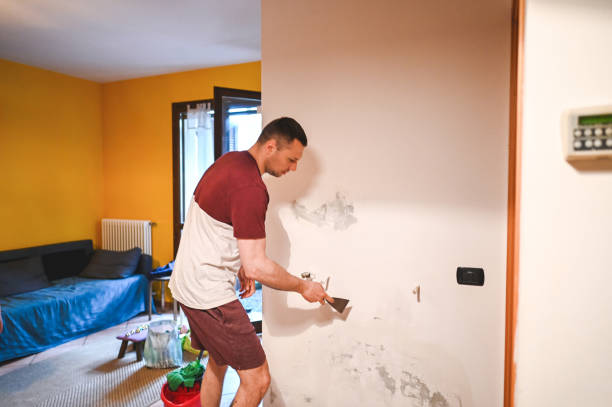 Best Mold Remediation  in Jonestown, TX