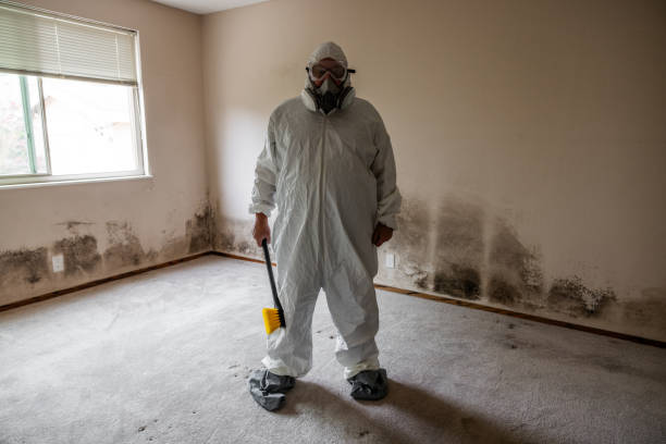 Best Mold Cleaning Services  in Jonestown, TX