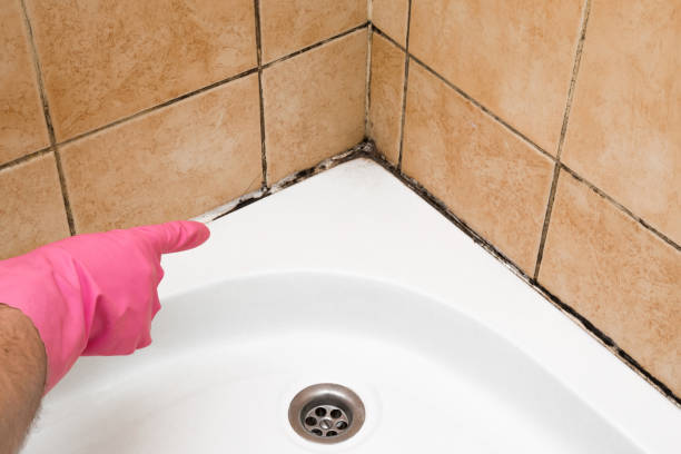 Best Mold Remediation Services  in Jonestown, TX